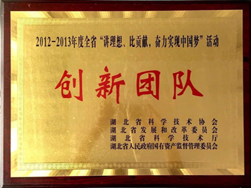 湖北省2012-2013年度“講理想，比貢獻(xiàn)”創(chuàng)新團(tuán)隊(duì).jpg